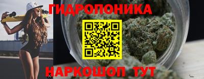 крисы Канаш