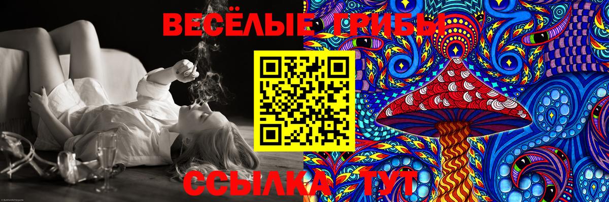 Псилоцибиновые грибы Magic Shrooms  Вход с VPN  Ялта 
